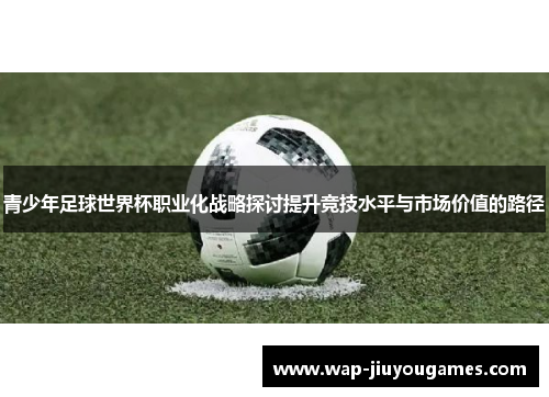 青少年足球世界杯职业化战略探讨提升竞技水平与市场价值的路径