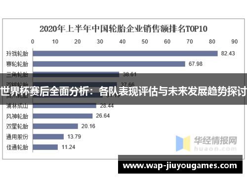 世界杯赛后全面分析：各队表现评估与未来发展趋势探讨