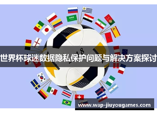 世界杯球迷数据隐私保护问题与解决方案探讨