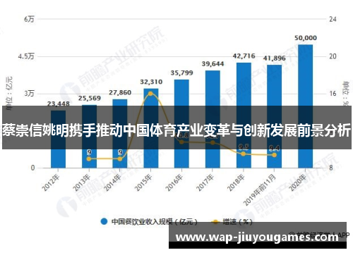蔡崇信姚明携手推动中国体育产业变革与创新发展前景分析