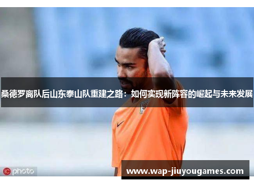 桑德罗离队后山东泰山队重建之路：如何实现新阵容的崛起与未来发展