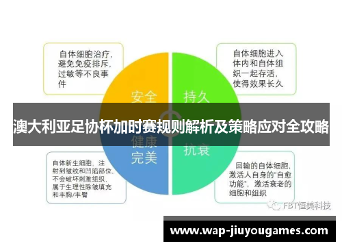 澳大利亚足协杯加时赛规则解析及策略应对全攻略